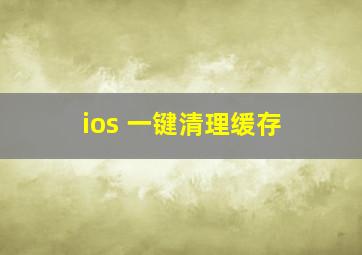 ios 一键清理缓存